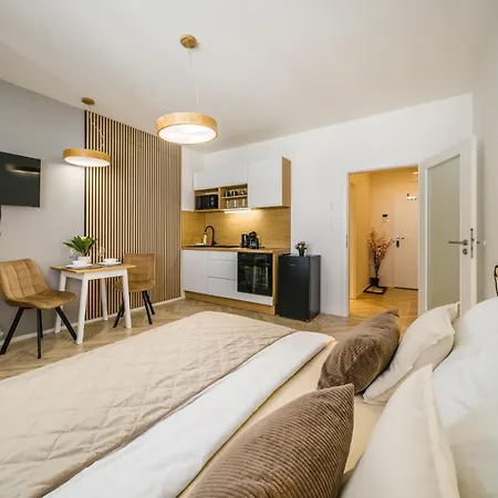 Apartia Center Apartment Brno