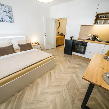 Apartia Center Apartment Brno