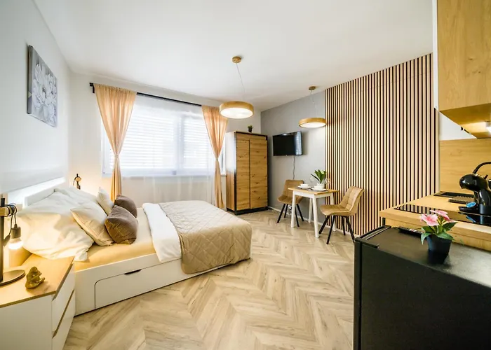Apartia Center * 브르노